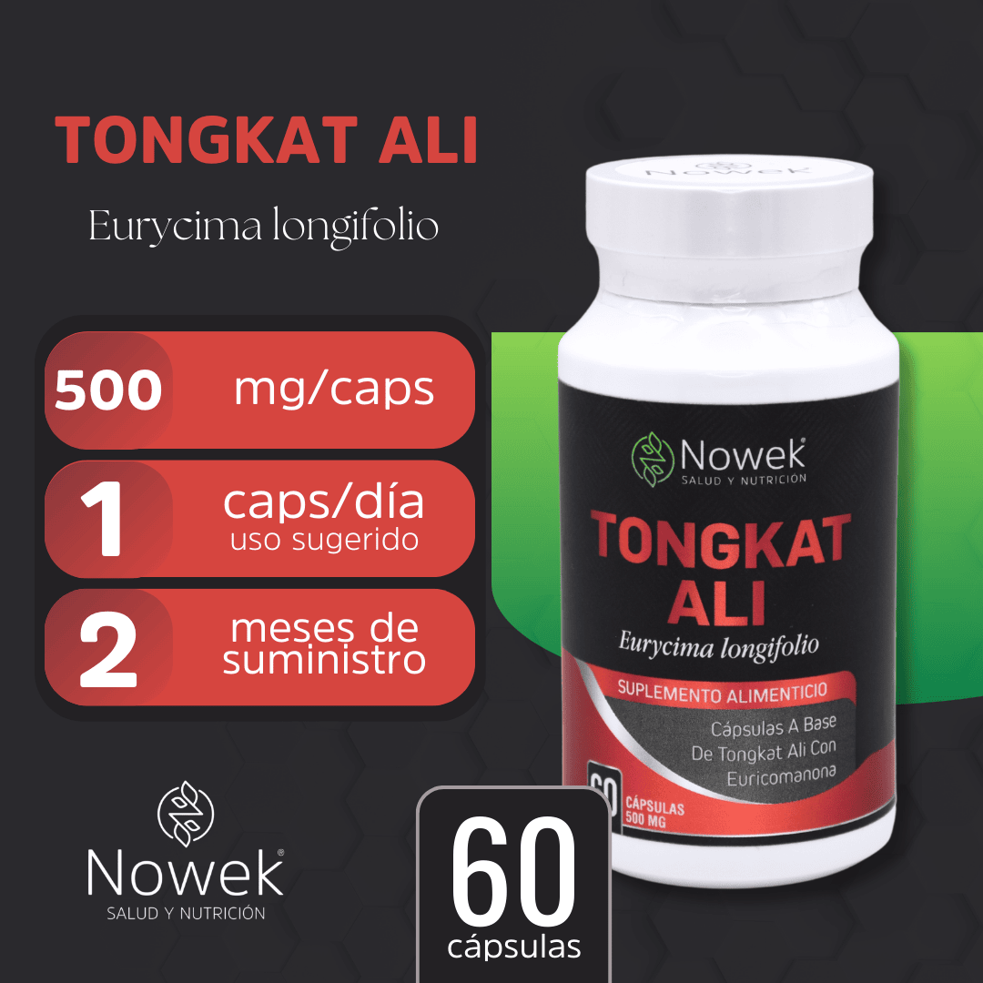 Tongkat Ali - 60 cápsulas de 500 mg
